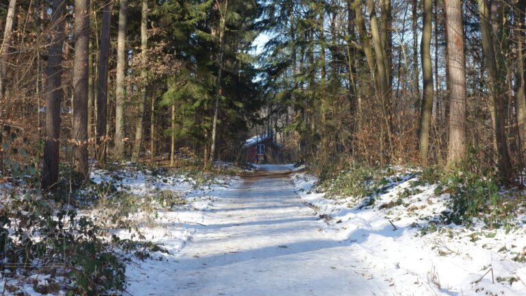 Winter in Oberursel