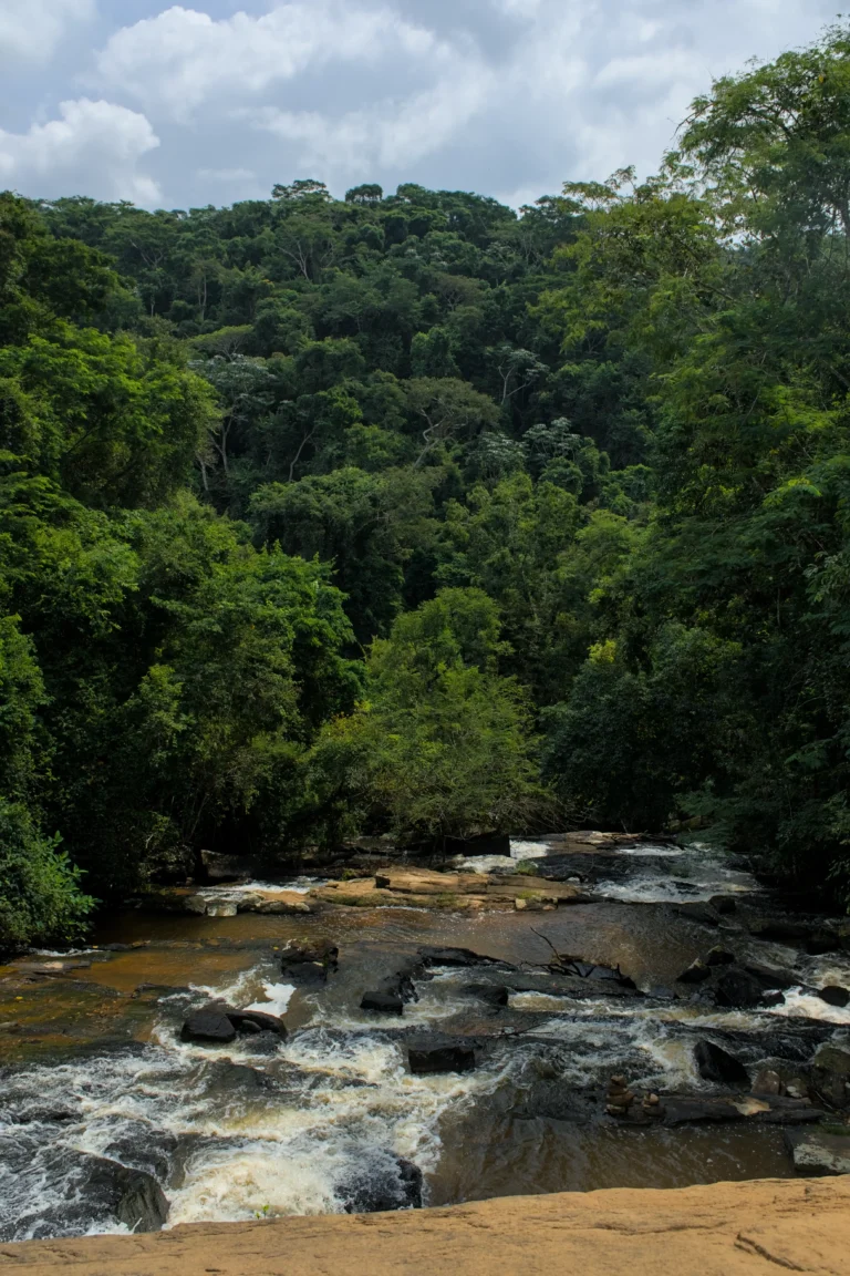 Cachoeira da Floresta